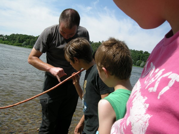 Camp jeune : 5 jours /4 nuits (8-11 ans)