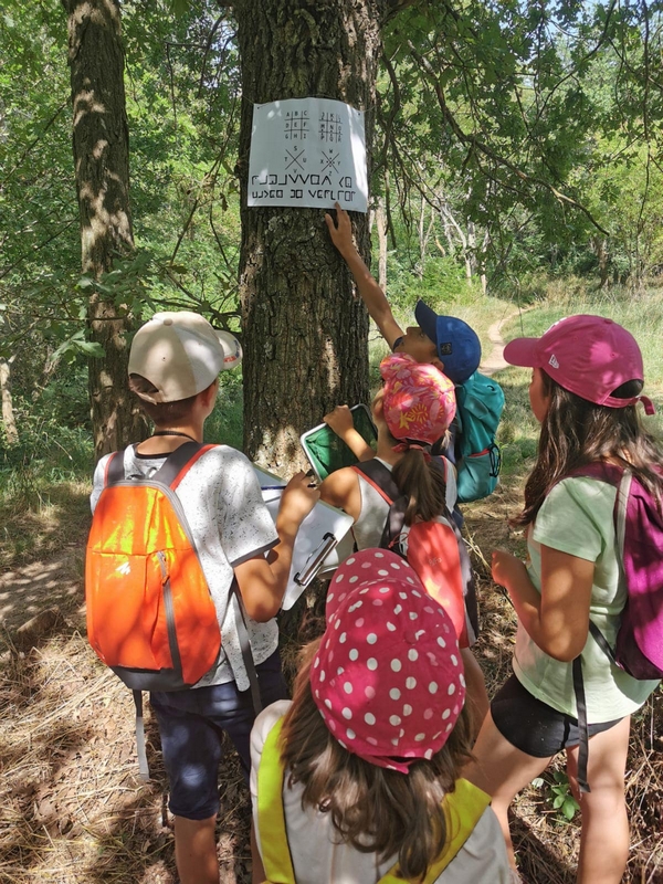 Mini Camp : 3 jours /2 nuit (7-11 ans)