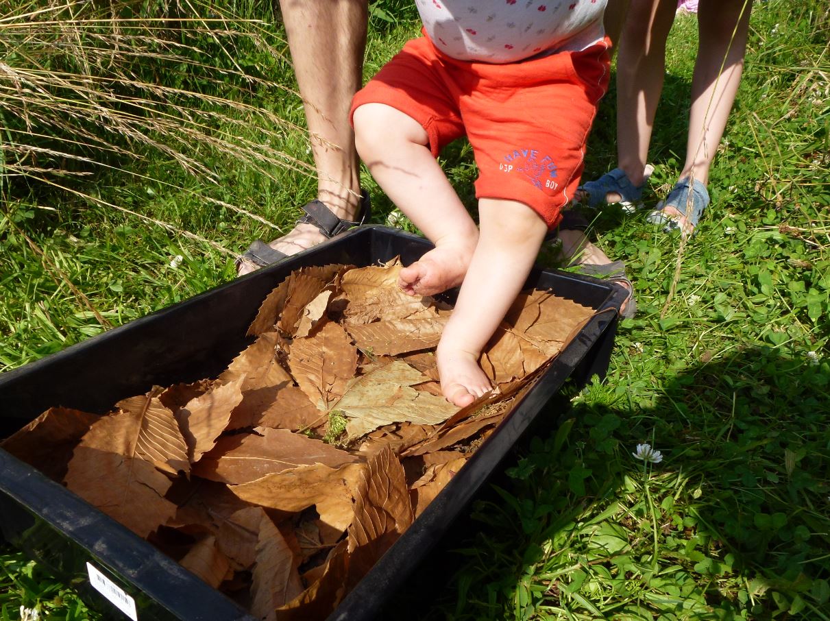 Les tout-petits en sorties - Moins de 3 ans
