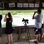 Les oiseaux des zones humides