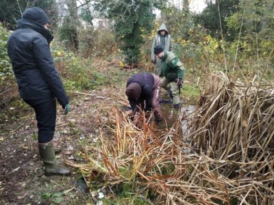 groupe-biodiversite-3