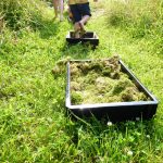 Les tout-petits en sortie