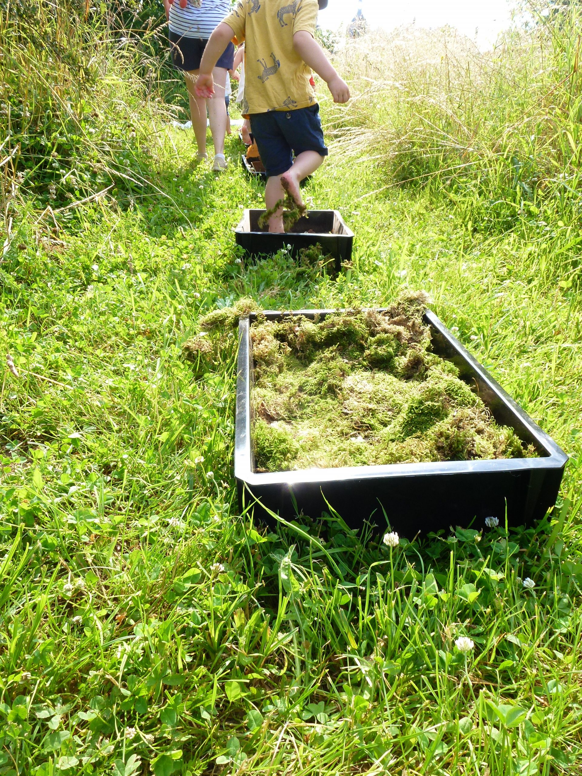 Les tout-petits en sortie