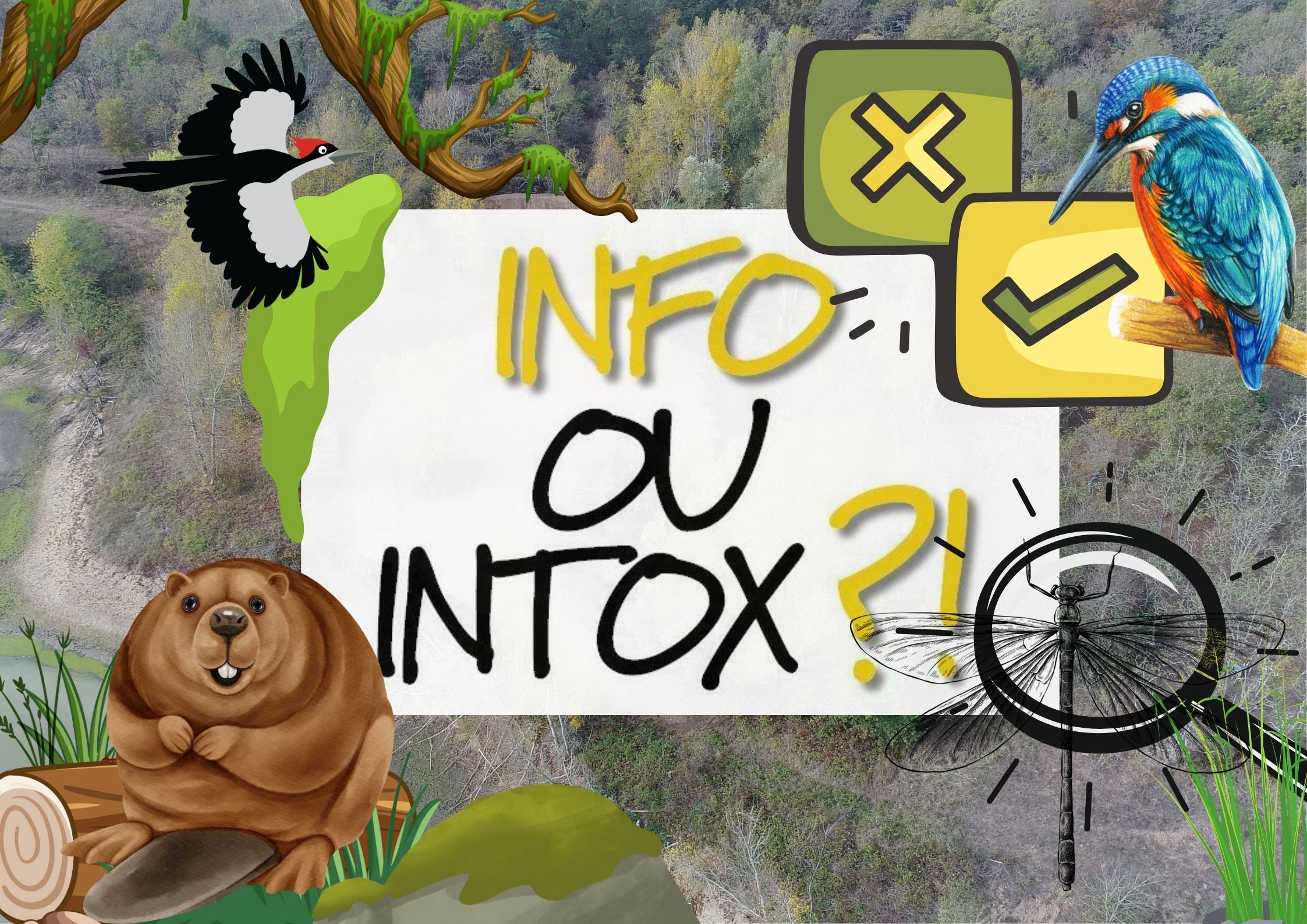 Info ou intox de Loire