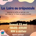 La Loire au crépuscule
