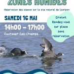 Les oiseaux des zones humides