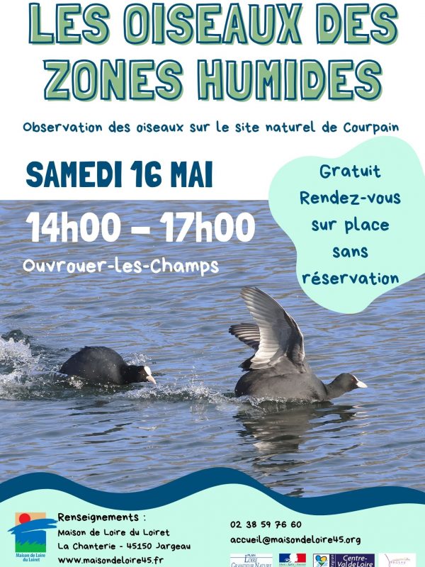 Les oiseaux des zones humides