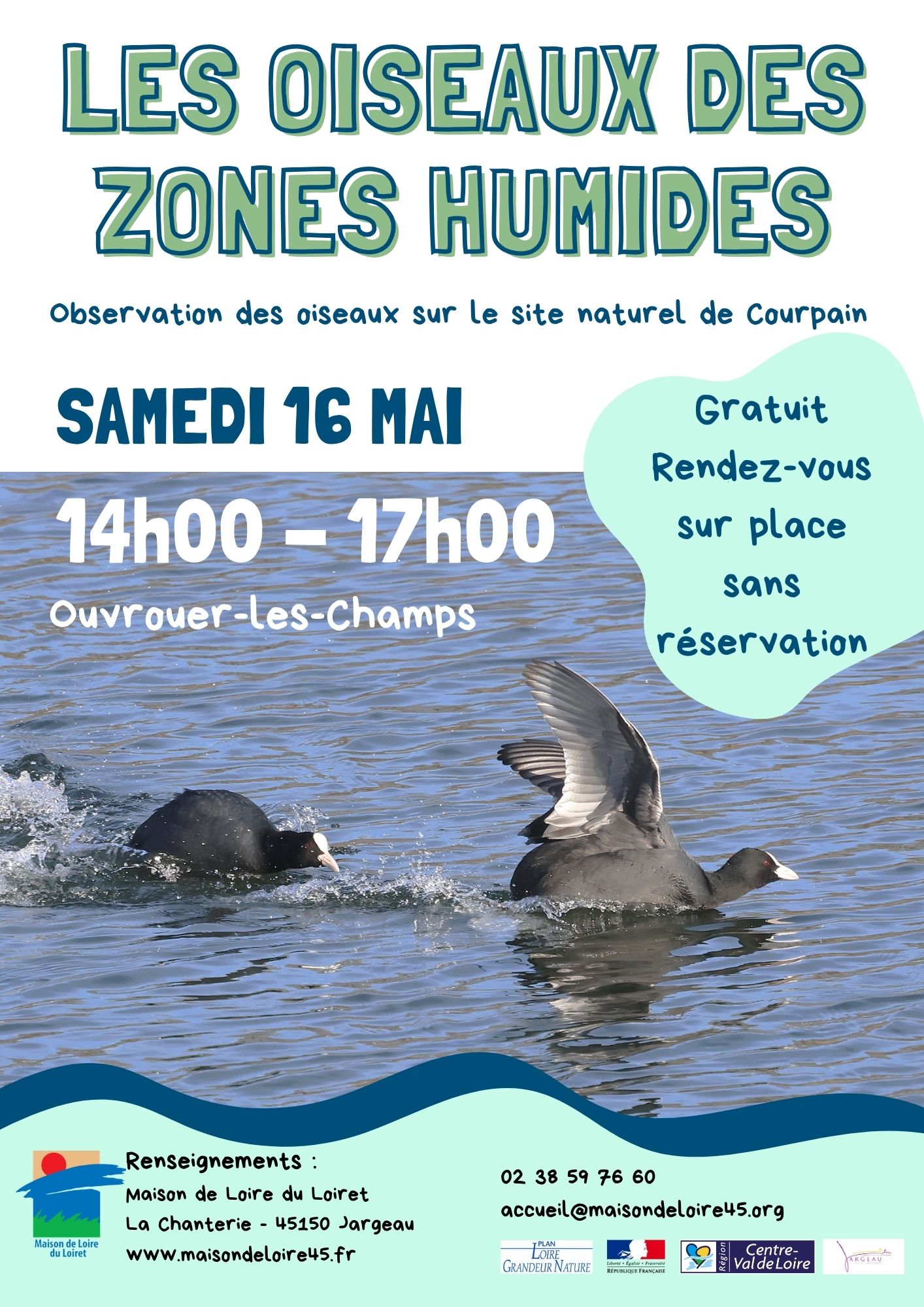 Les oiseaux des zones humides